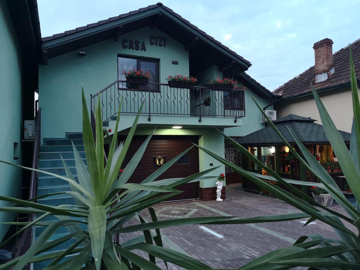 Hotel Casa Cizi Călimăneşti Exterior foto