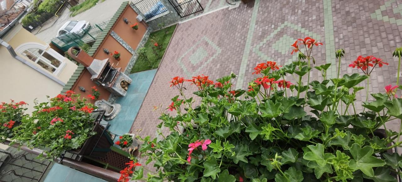 Hotel Casa Cizi Călimăneşti Exterior foto