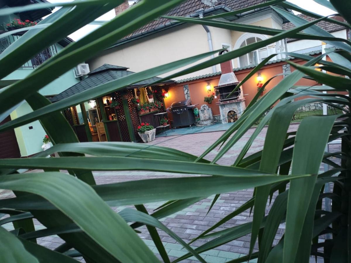 Hotel Casa Cizi Călimăneşti Exterior foto